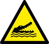 alligators, caimans and crocodiles 
