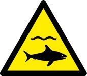 sharks 